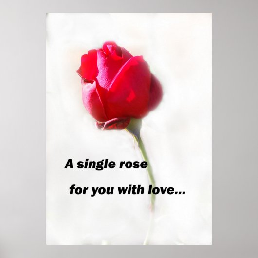 Eine Single-Rose für Sie mit Liebe... Poster (Vorne)