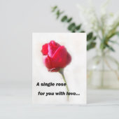 Eine Single-Rose für Sie mit Liebe... Postkarte (Stehend Vorderseite)