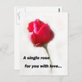 Eine Single-Rose für Sie mit Liebe... Postkarte (Vorne/Hinten)