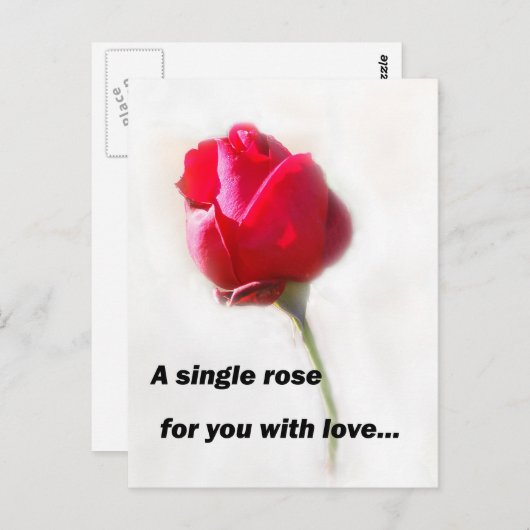 Eine Single-Rose für Sie mit Liebe... Postkarte (Vorne/Hinten)