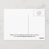 Eine Single-Rose für Sie mit Liebe... Postkarte (Rückseite)