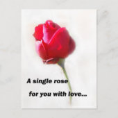 Eine Single-Rose für Sie mit Liebe... Postkarte (Vorderseite)
