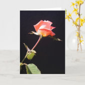 Eine Single-Rose Karte (Gelbe Blume)