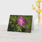 Eine Single Wild Rose Karte (Gelbe Blume)