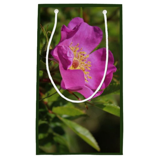 Eine Single-wilde Rose Kleine Geschenktüte (Vorderseite)