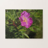 Eine Single-wilde Rose Puzzle (Horizontal)