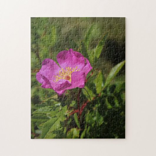 Eine Single-wilde Rose Puzzle (Vertikal)