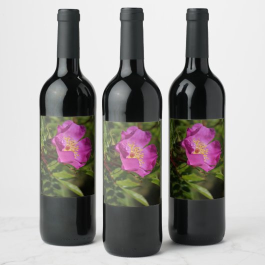 Eine Single-wilde Rose Weinetikett (Flaschen)