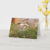 Eine Sitzung der Sinnesgruß-Karte Karte (Gelbe Blume)