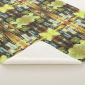 Eine Sixtinische HerausforderungI Phase einer ChaI Sherpadecke (3/4)