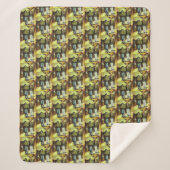 Eine Sixtinische HerausforderungI Phase einer ChaI Sherpadecke (Vorderseite)