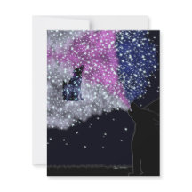 Eine Sommernacht mit Sirius