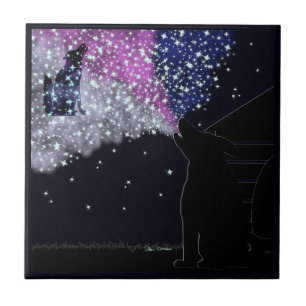 Eine Sommernacht mit Sirius Fliese