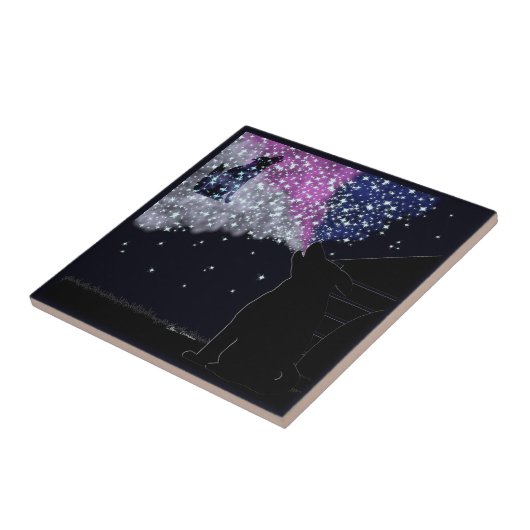 Eine Sommernacht mit Sirius Fliese (Seite)