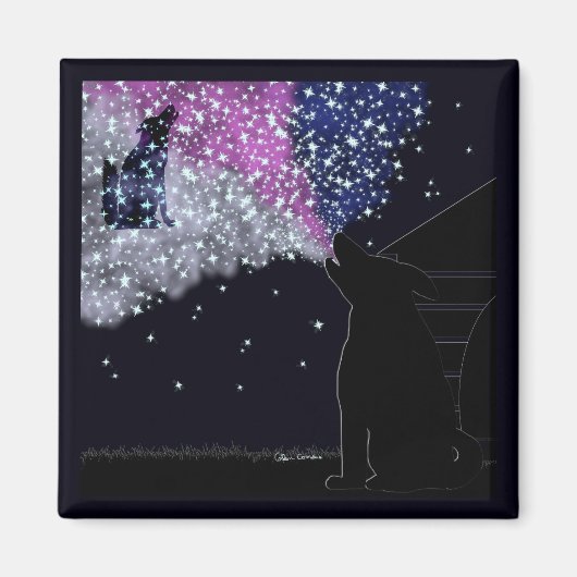Eine Sommernacht mit Sirius Magnet (Vorne)
