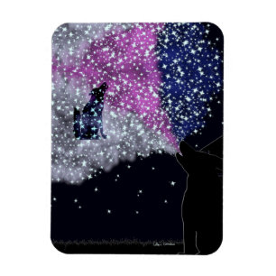 Eine Sommernacht mit Sirius Magnet