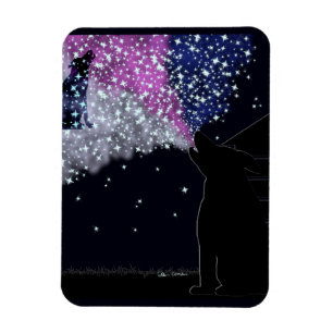 Eine Sommernacht mit Sirius Magnet