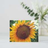 Eine Sonnenblume im Garten Feiertagspostkarte (Stehend Vorderseite)