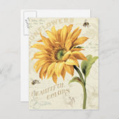 Eine Sonnenblume im vollen Blut Postkarte (Vorne/Hinten)