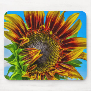Eine Sonnenblumenmaus Mousepad