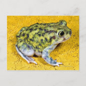 Eine Spadefußtote Postkarte (Vorderseite)