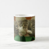 Eine spielende Katze Kaffeetasse (Mittel)