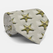 Eine starfish-Krawatte!  Eine Spaß-Krawatte für Krawatte (Gerollt)