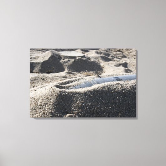 Eine statische Anzeige einer Muschel zur Kampfmitt Leinwanddruck (Vorderseite)