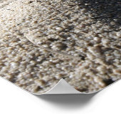 Eine statische Anzeige einer Muschel zur Kampfmitt Poster (Ecke)