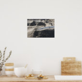 Eine statische Anzeige einer Muschel zur Kampfmitt Poster (Küche)