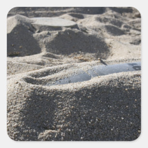 Eine statische Anzeige einer Muschel zur Kampfmitt Quadratischer Aufkleber