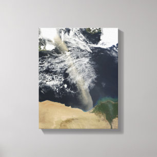 Eine Staubfeder Leinwanddruck