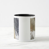 Eine Staubmauer aus dem Norden Queenslas Tasse (Zentrum)