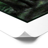 Eine Stimme für die Wildnis Poster (Ecke)