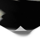 EINE STIMME SPRECHEN POSTER CNCRT (Ecke)