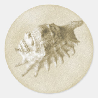 Eine Strandhochzeit-Seashell-Aufkleber (Gold) Runder Aufkleber