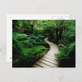 Eine Straße mitten im Wald Postkarte (Vorne/Hinten)