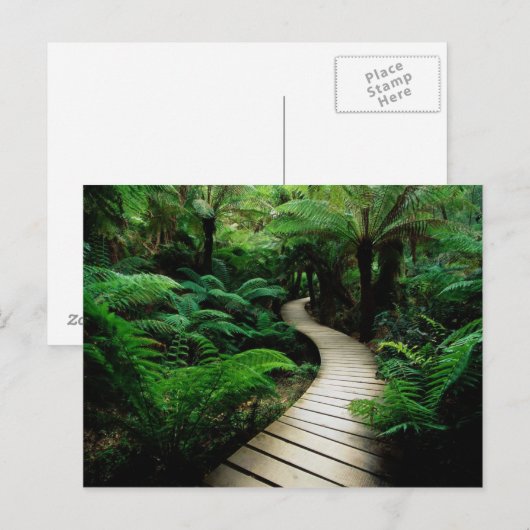 Eine Straße mitten im Wald Postkarte (Vorne/Hinten)