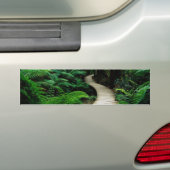 Eine Straße mitten in dem wilden Wald Autoaufkleber (Auf Auto)