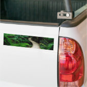 Eine Straße mitten in dem wilden Wald Autoaufkleber (Auf Lkw)