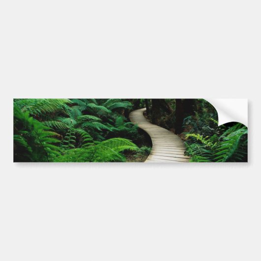 Eine Straße mitten in dem wilden Wald Autoaufkleber (Vorne)