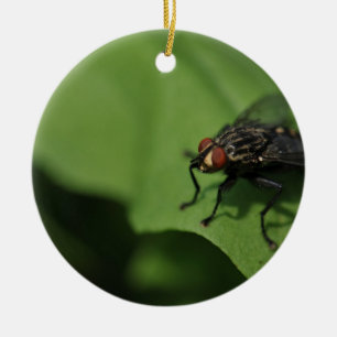 Eine Stubenfliege auf einem grünen Blatt Keramik Ornament