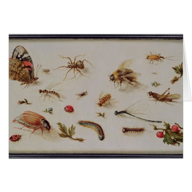 Eine Studie der Insekten (Vorderseite (Horizontal))