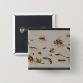 Eine Studie der Insekten Button (Vorne & Hinten)