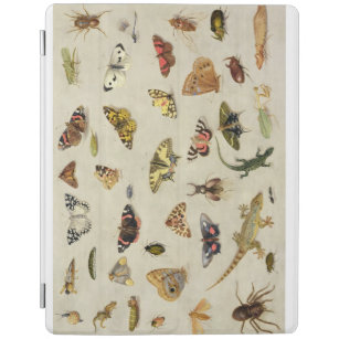 Eine Studie der Insekten iPad Hülle