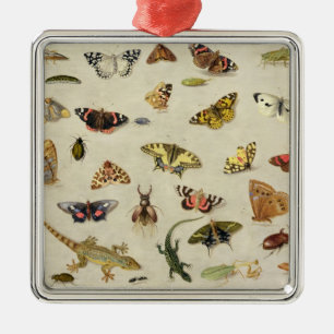 Eine Studie der Insekten Ornament Aus Metall
