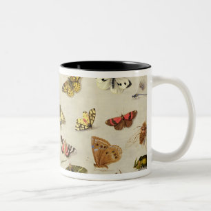 Eine Studie der Insekten Zweifarbige Tasse