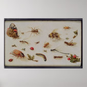 Eine Studie über Insekten Poster (Vorne)