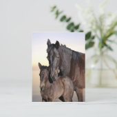 Eine Stute und ihr Baby-Fohlen Postkarte (Stehend Vorderseite)
