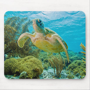 Eine Suppenschildkröte auf den flachen Riffen von Mousepad